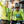 KMC Run Long Sleeve Shirt W-RMT20011A-4A