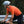 Men's Cycling PRO SS Jersey W-CMT24004F-12A