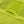 Women's Cycling SS Jersey CW-25AW-100T