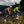 KMC Men's PRO4 HS Skinsuit CP073-M2E