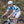 Men's Cycling PRO SS Jersey CMT3024004Q-2A