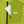 Women's Cycling SS Jersey CW-25AW-100T