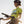 KMC Women's  Cycling PRO3 SS Jersey CWT22004D-1A