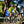 KMC Women's  Cycling PRO LS Jersey CWT22011B-1A
